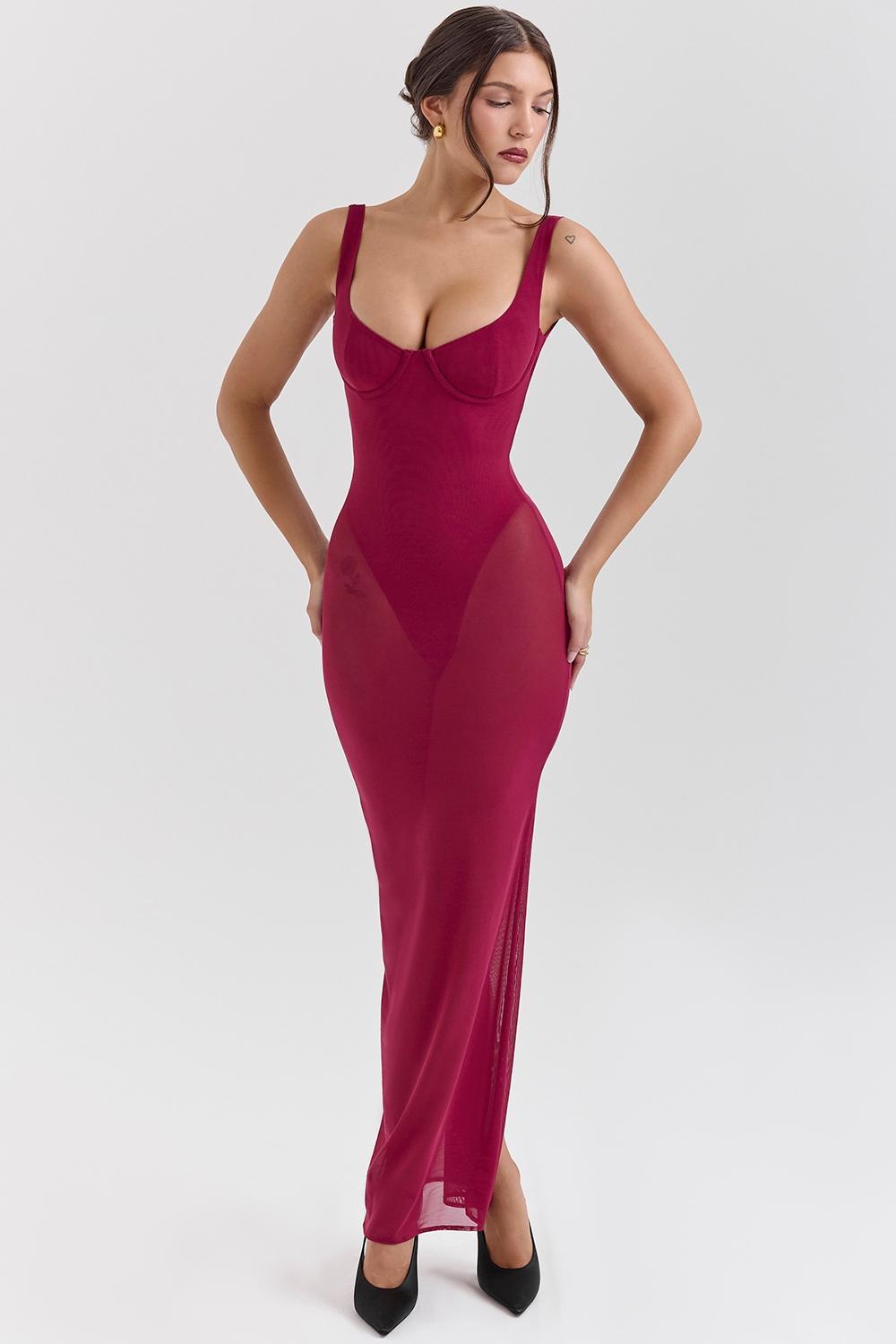 Robina  wine stretch mesh maxi dress Product Image