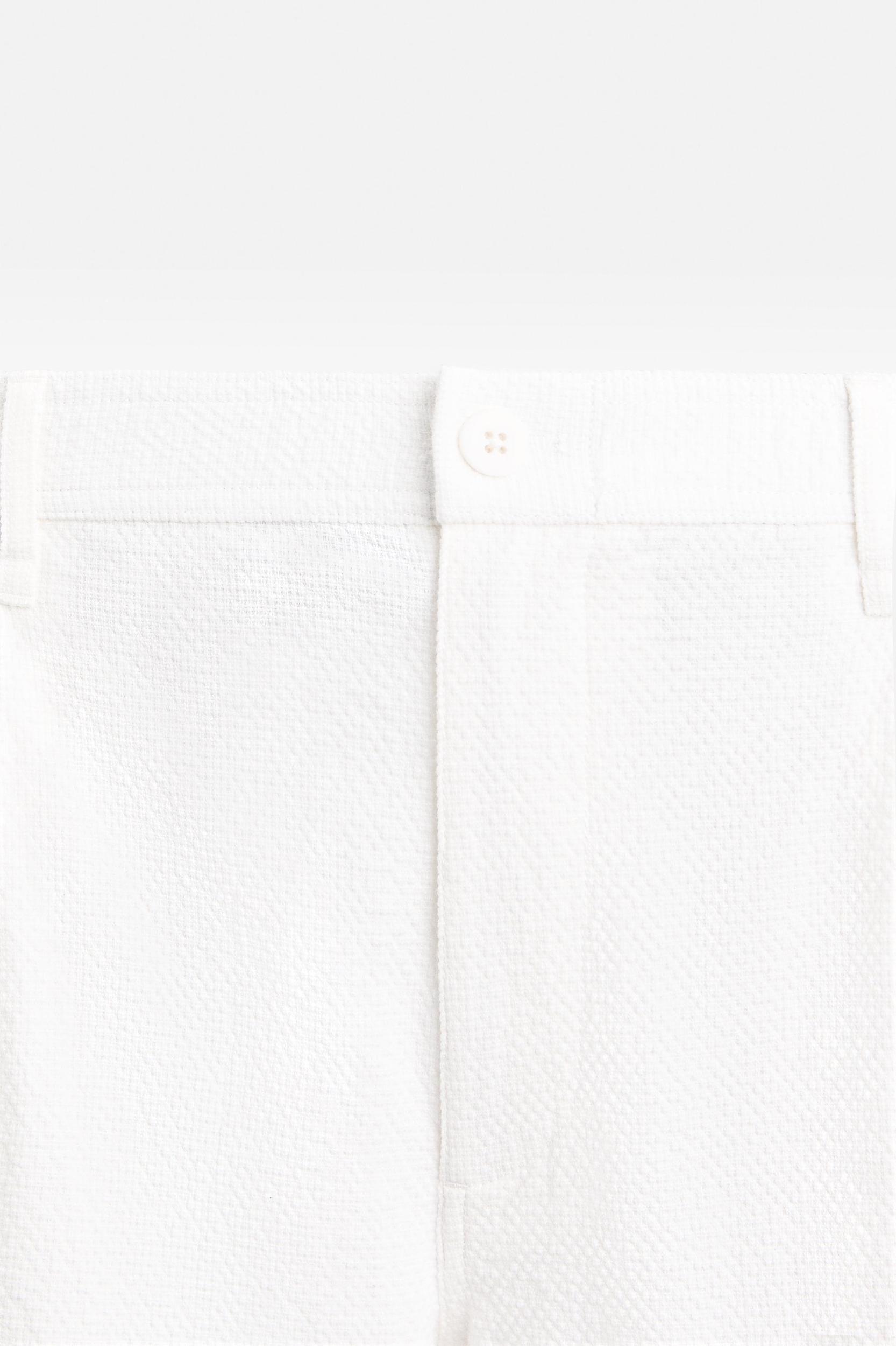 TEXTURED PLEATED PANTS Product Image