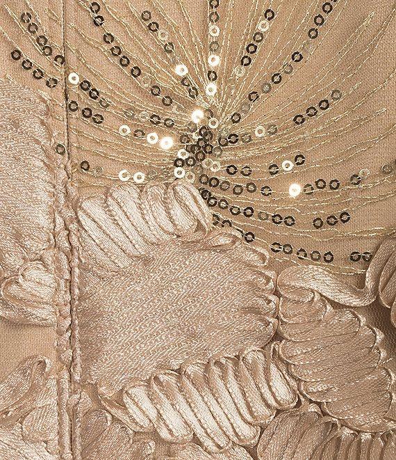 Alex Evenings Plus Size Lace Scoop Neck Short Sleeve A-Line Gown Product Image