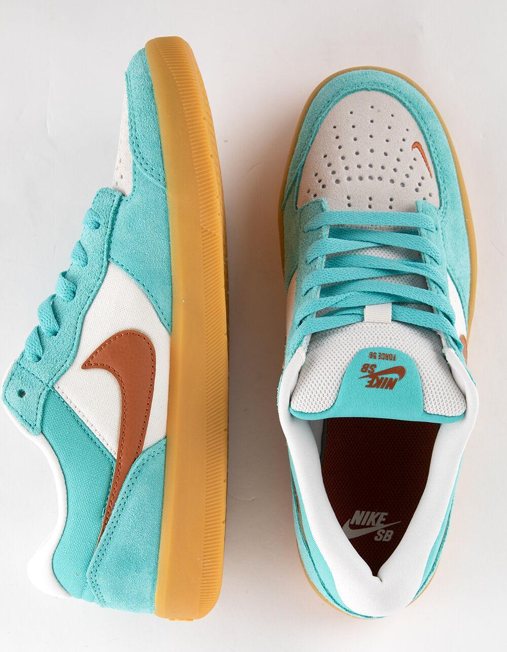 NIKE SB Force 58 Mens Shoes - TEAL BLUE Product Image