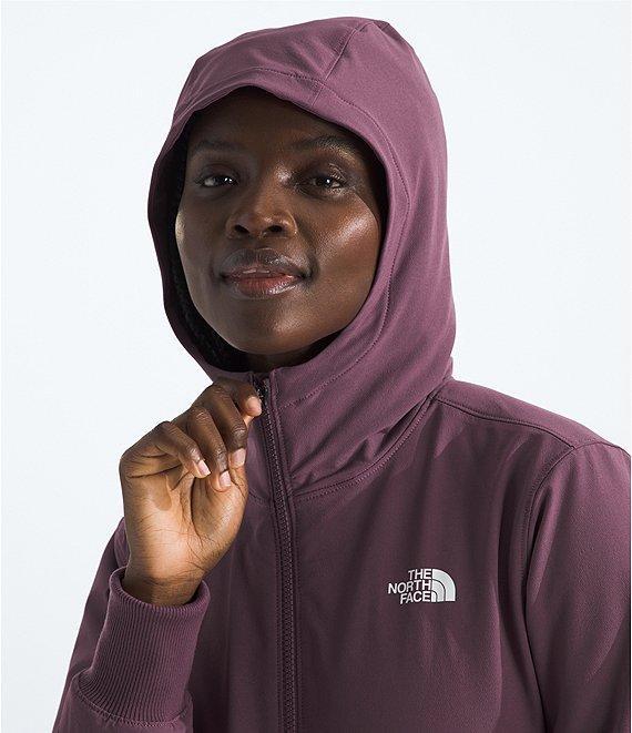 The North Face Shelbe Raschel Hoodie Product Image
