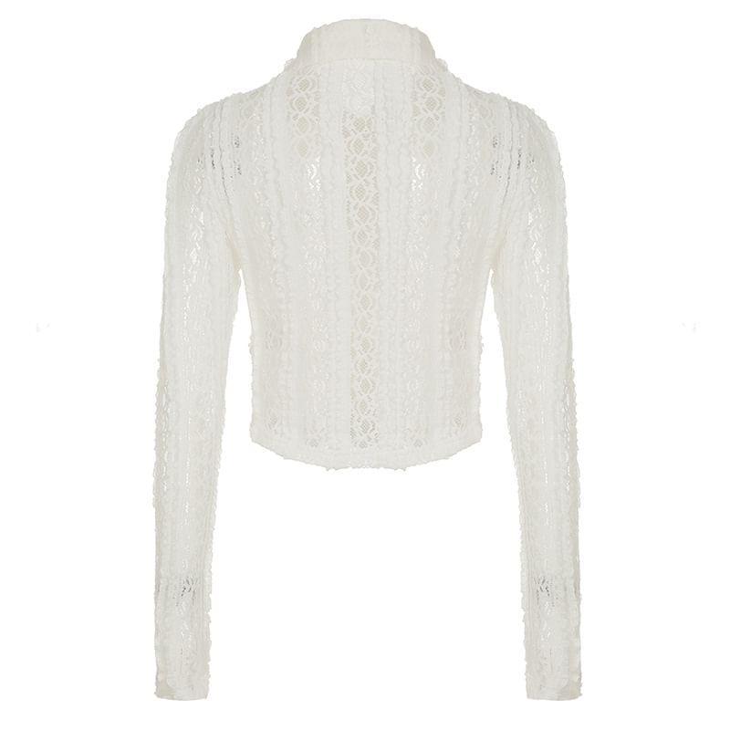 Long-Sleeve Lace Crop Shirt Product Image