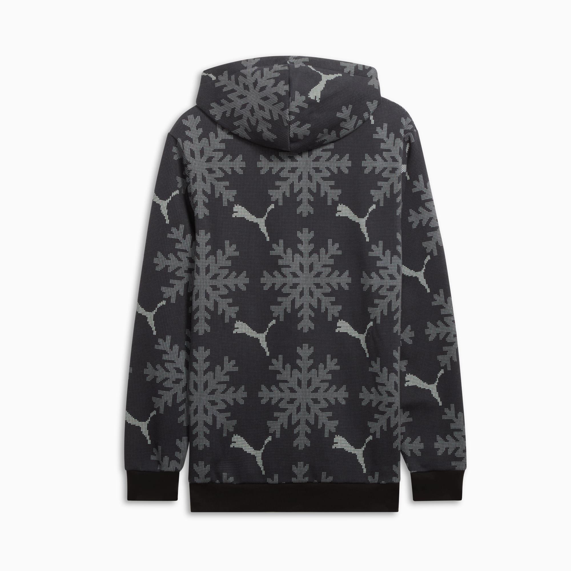 ESS+ Logo Lab Winter Snowflake Hoodie Product Image
