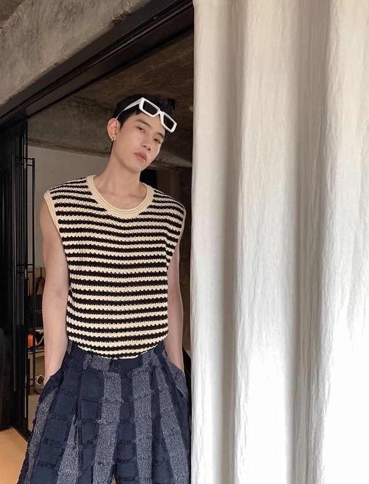 Crew Neck Striped Perforated Sweater Vest Product Image