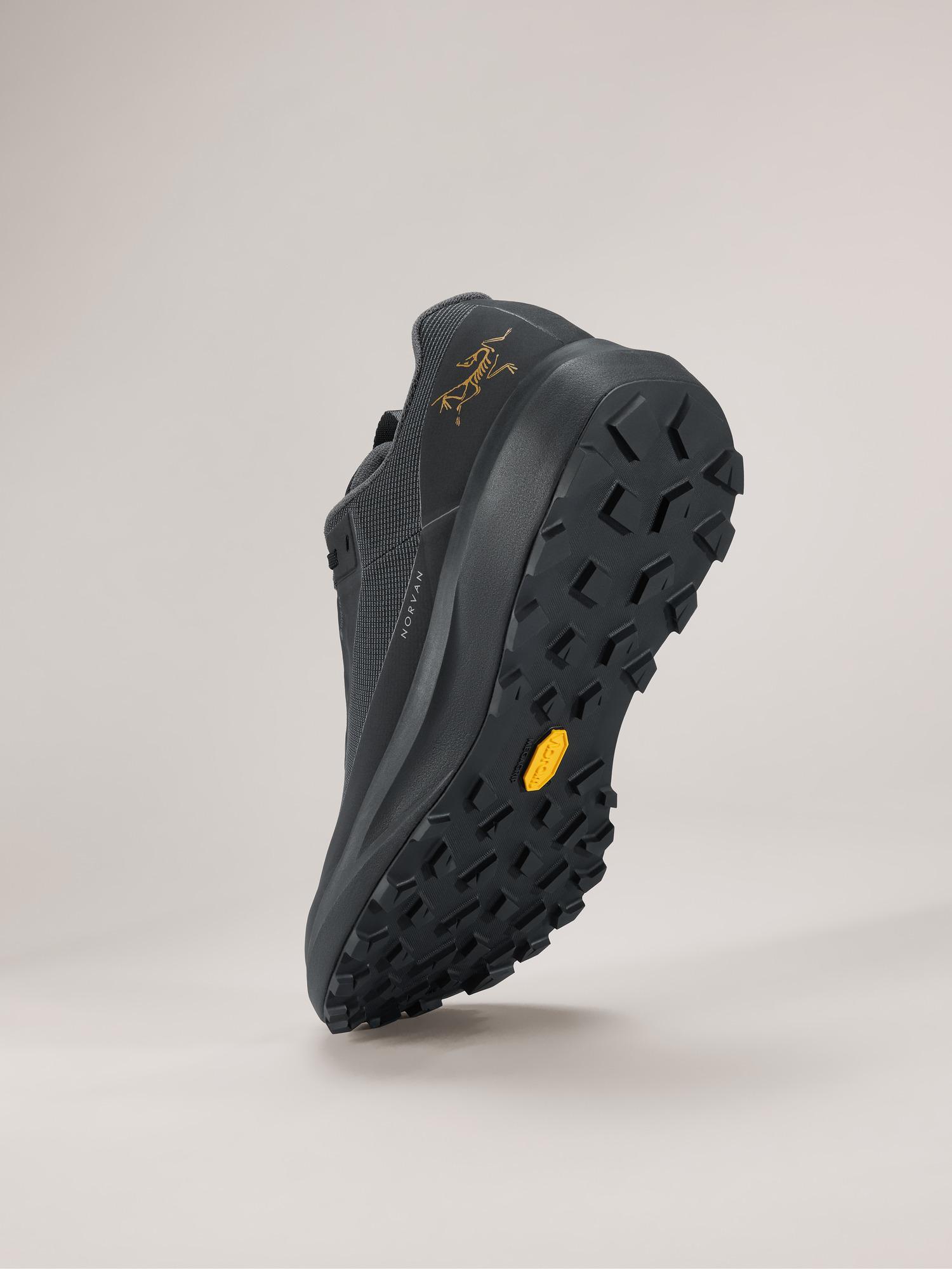 Norvan LD 4 GTX Shoe Women's Product Image