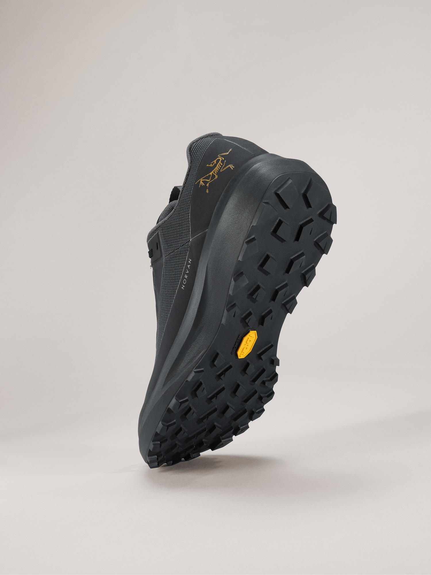 Norvan LD 4 GTX Shoe Men's Product Image