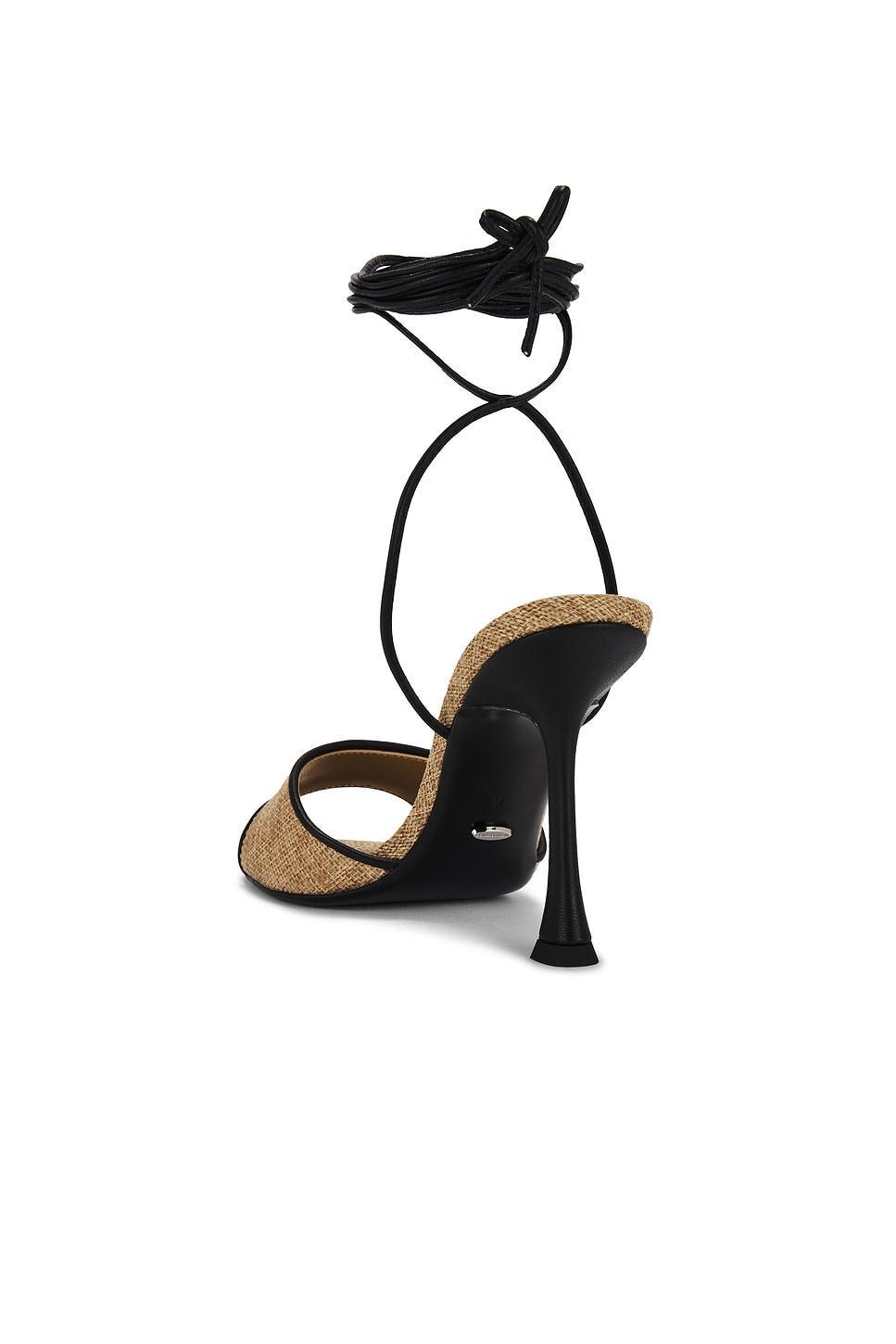 Lamar Heel Tony Bianco Product Image