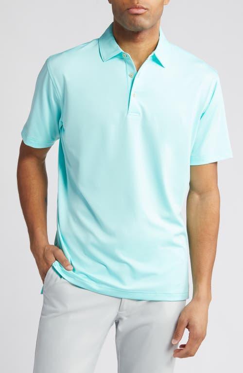 Mens Solid Performance Jersey Polo Shirt Product Image