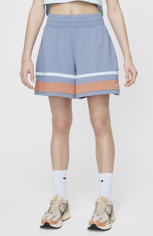 Nike Kids' Sportswear Stripe Shorts in Ashen Slate/Blush/Blue at Nordstrom, Size Xs Product Image