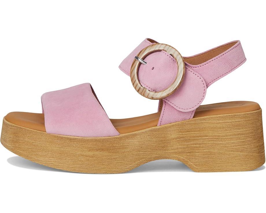 Gabor Product Image