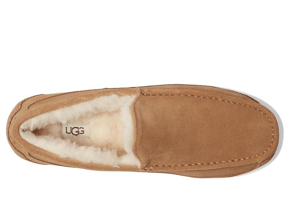 UGG Mens Ascot Suede Moc Product Image