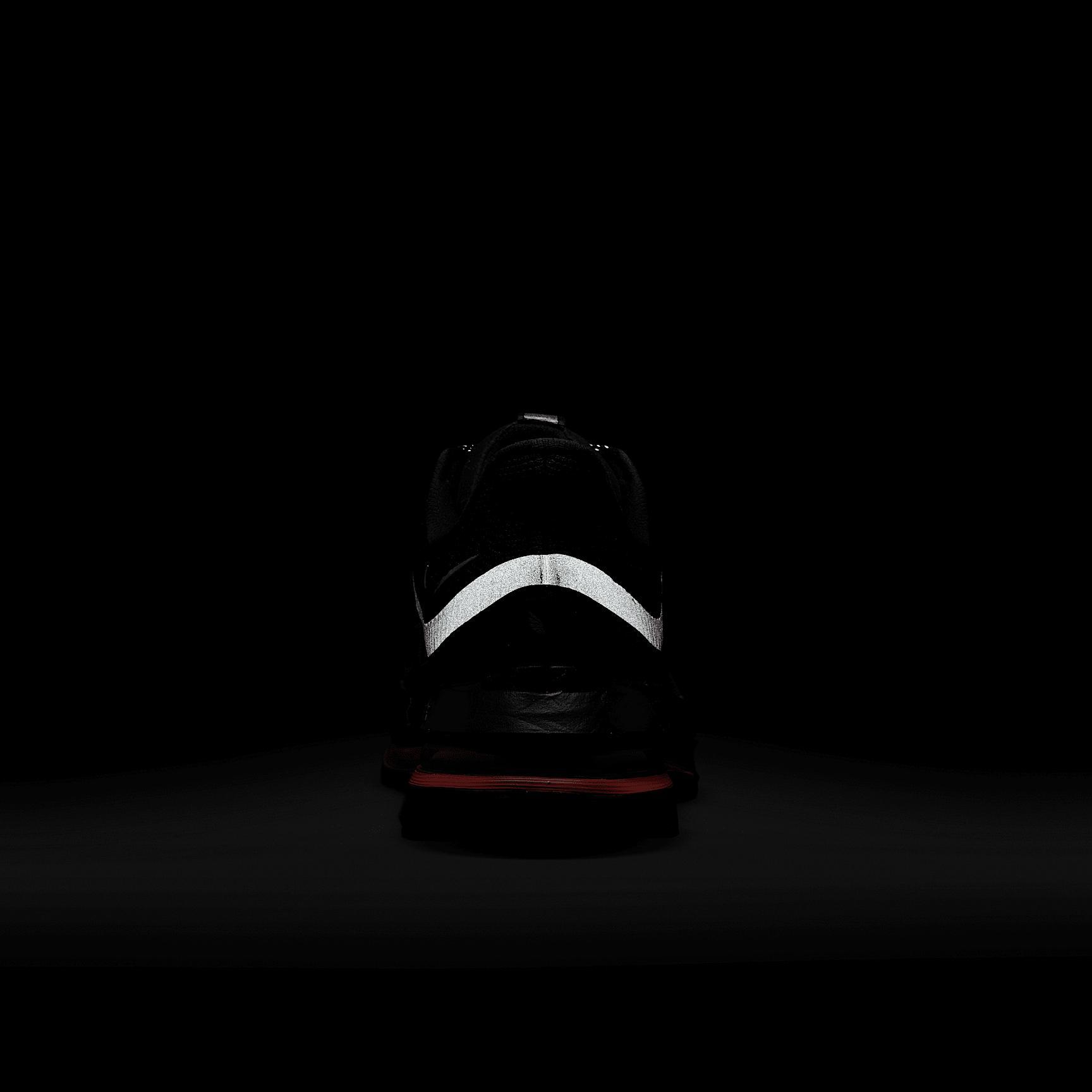 Nike Women's Pegasus Premium Road Running Shoes Product Image