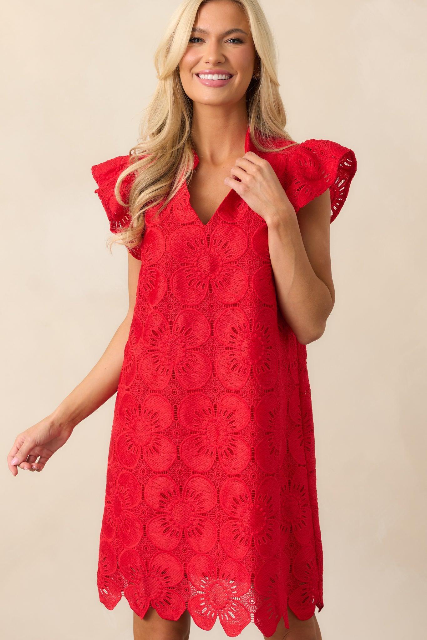 Between The Vines Red Floral Embroidered Mini Dress Product Image