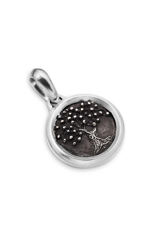 Mens Tree of Life Amulet in Sterling Silver with Bronze, 22.8mm Product Image