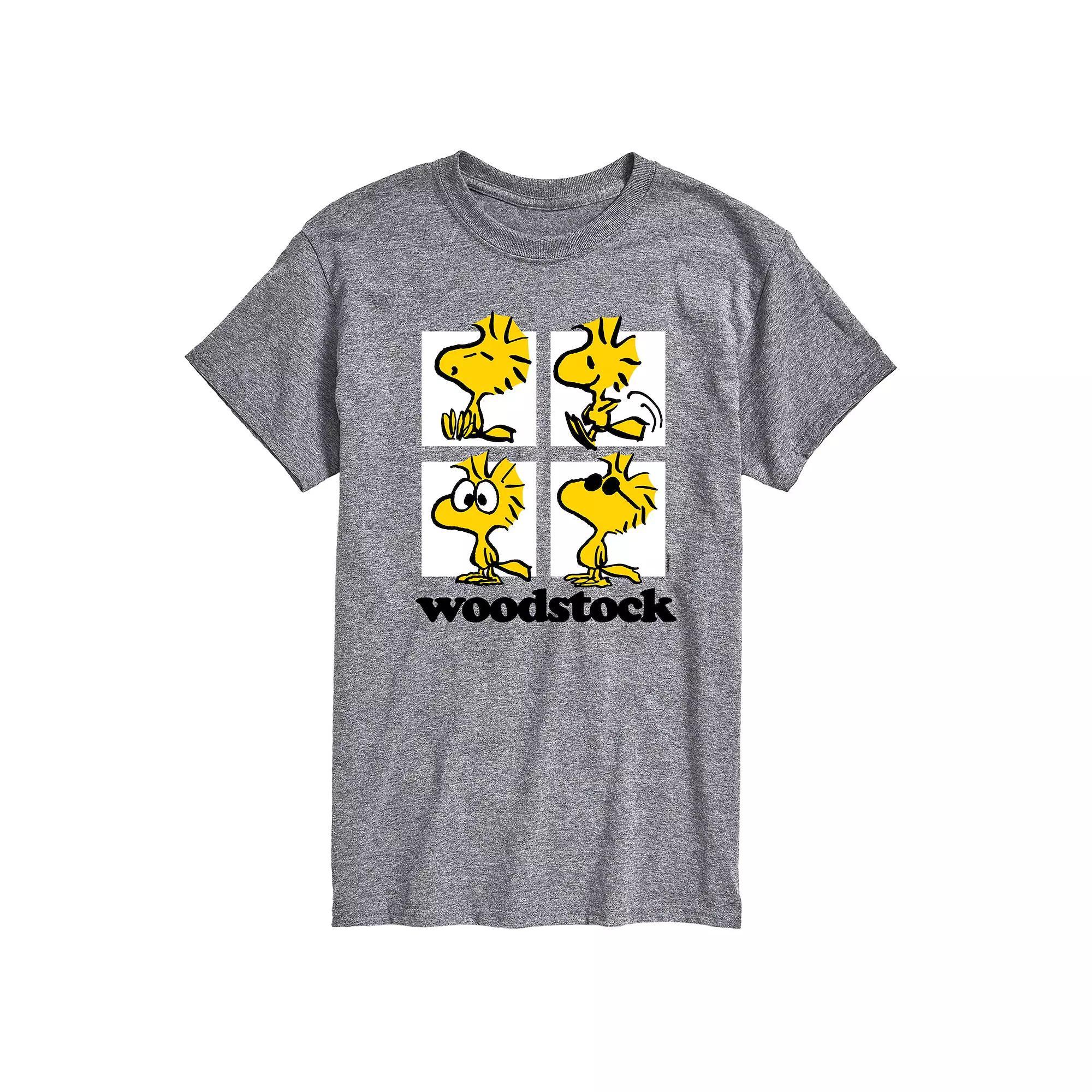 Mens Peanuts Woodstock Grid Graphic Tee Product Image