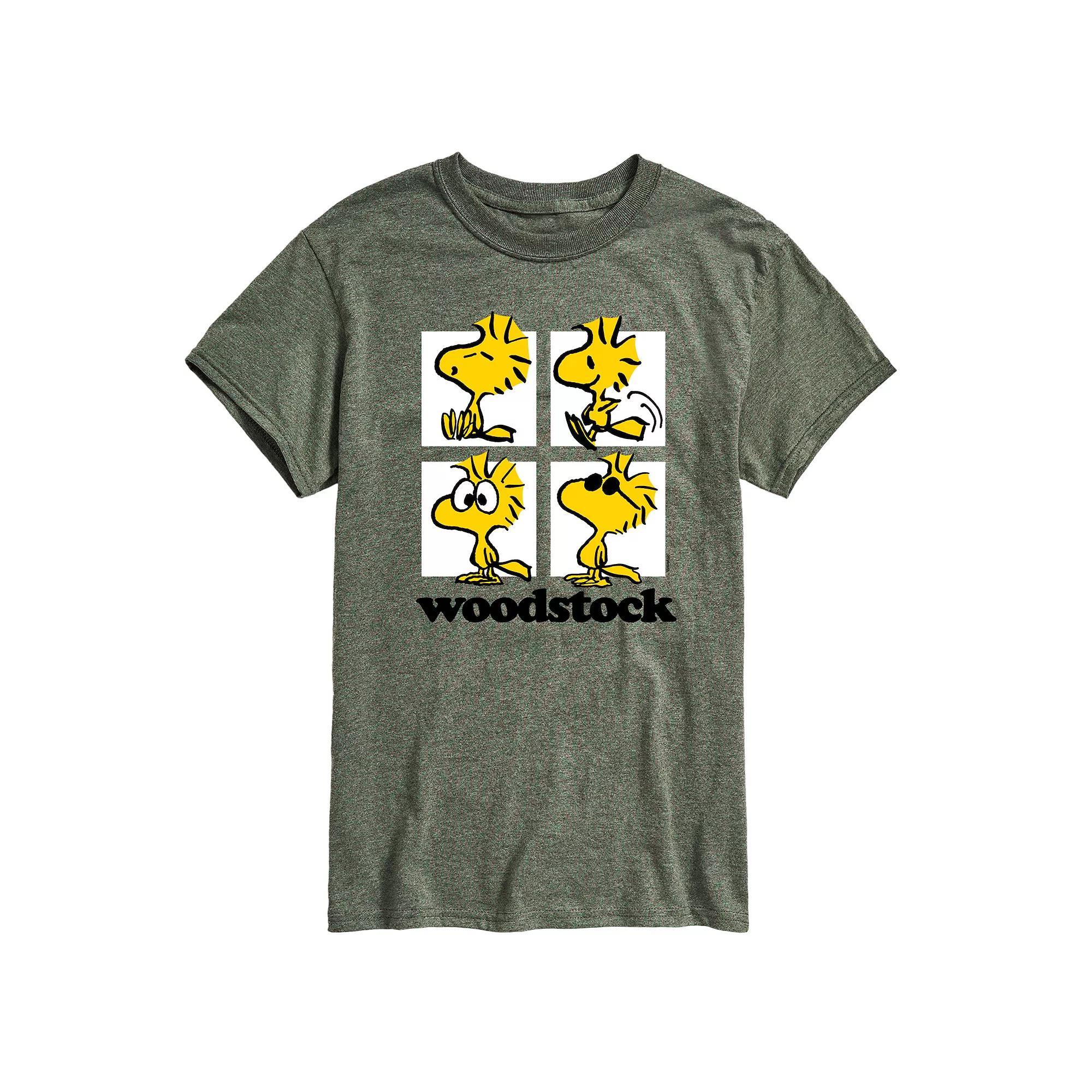 Mens Peanuts Woodstock Grid Graphic Tee Product Image