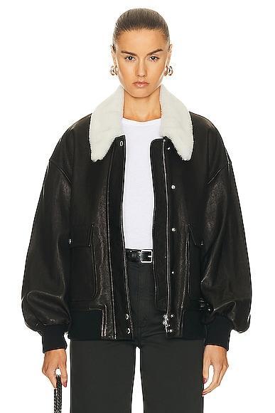 Shellar Jacket Product Image