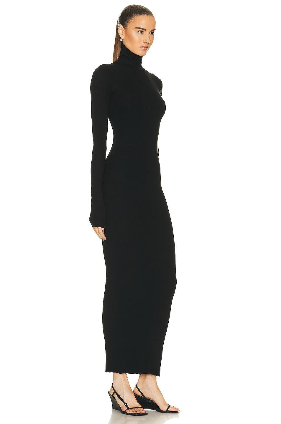 Eterne Long Sleeve Turtleneck Maxi Dress Product Image