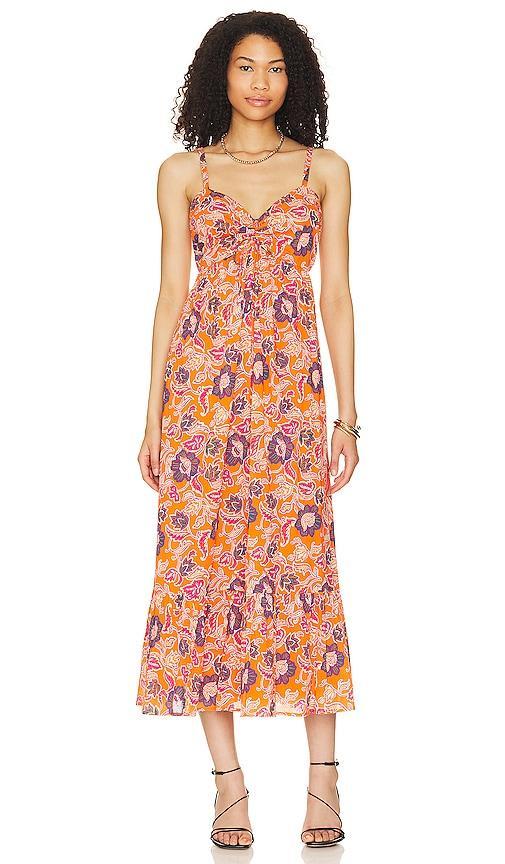 Oliana Midi Dress Cleobella Product Image