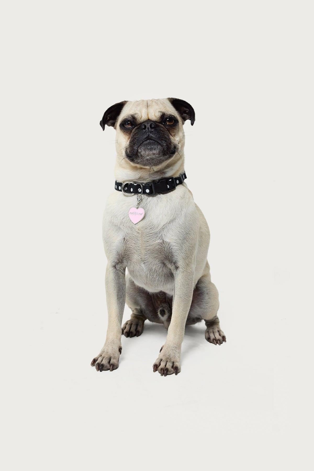 Heart Throb Collar Charm Product Image
