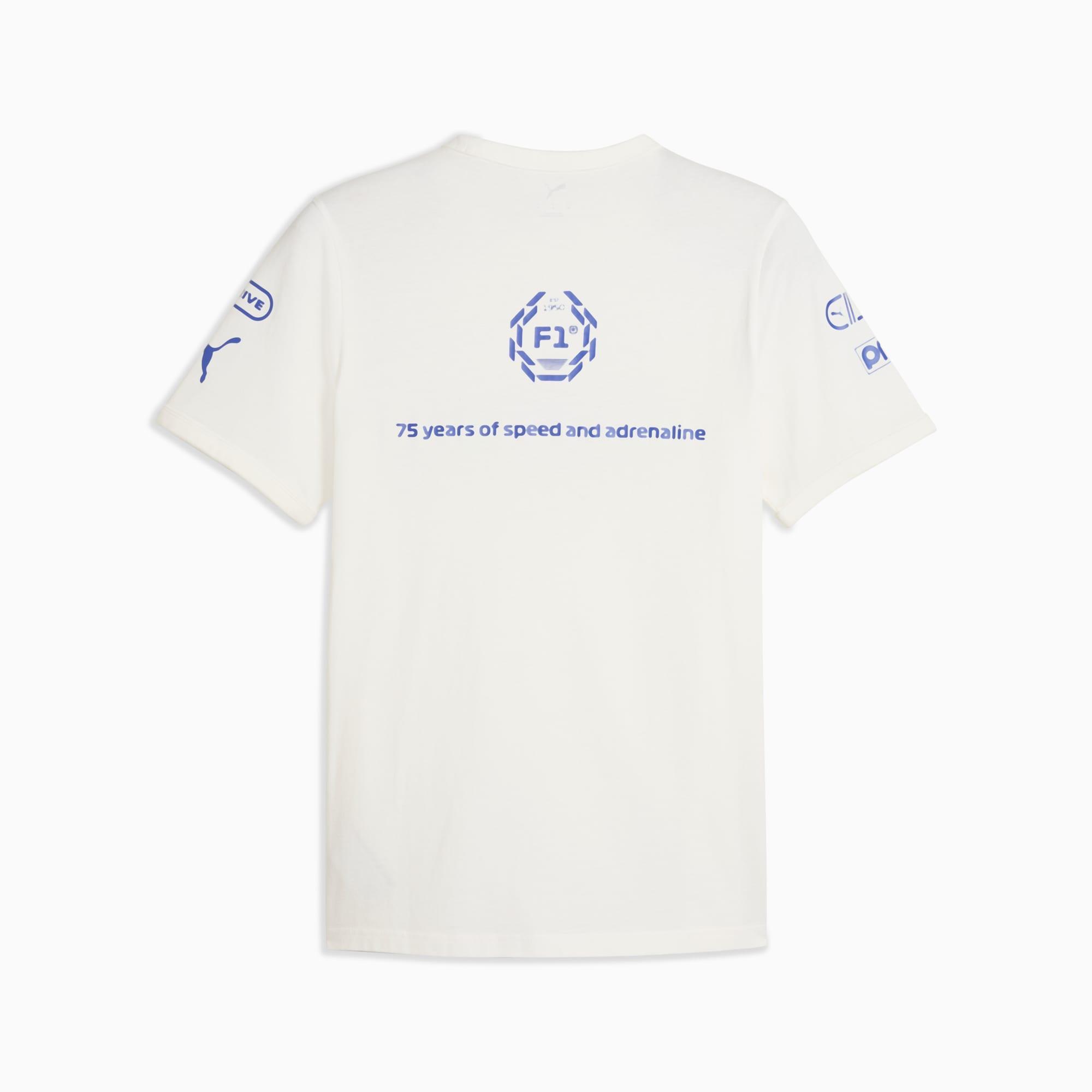 F1® Men's Graphic Ringer Tee Product Image