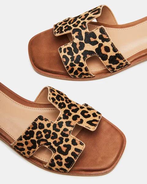 Steve Madden | Haydn Leopard Sandals Product Image