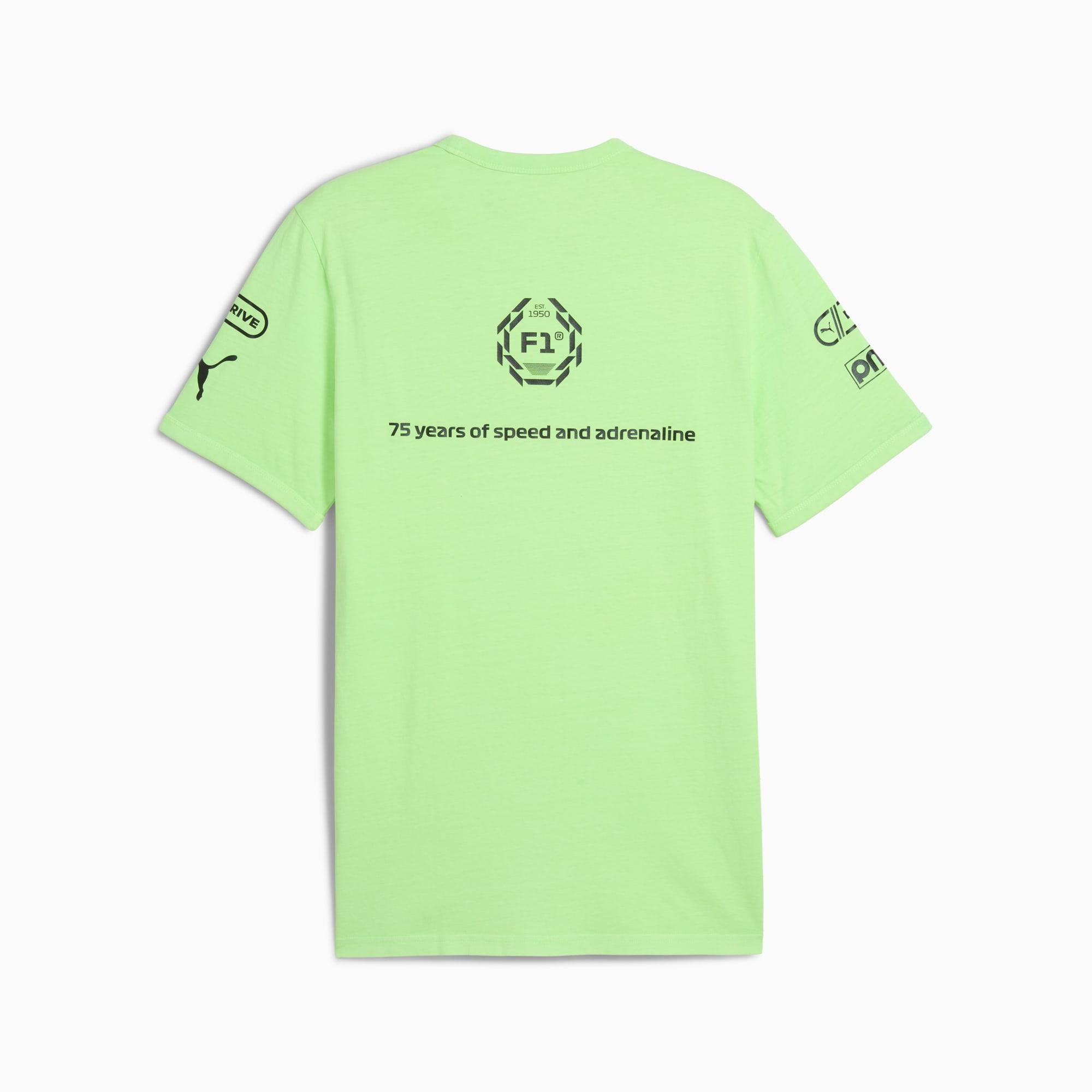 Formula 1® Men's Graphic Ringer Tee Product Image