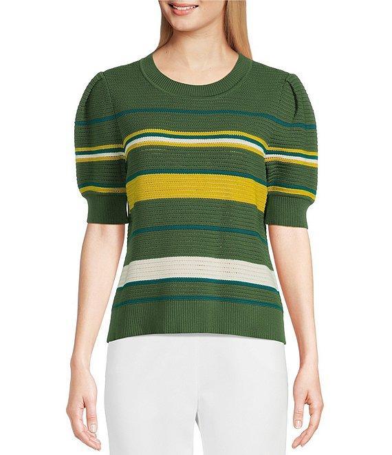 Investments Petite Size Bellwether Stripe Novelty Short Sleeve Crew Neck Sweater Top Product Image