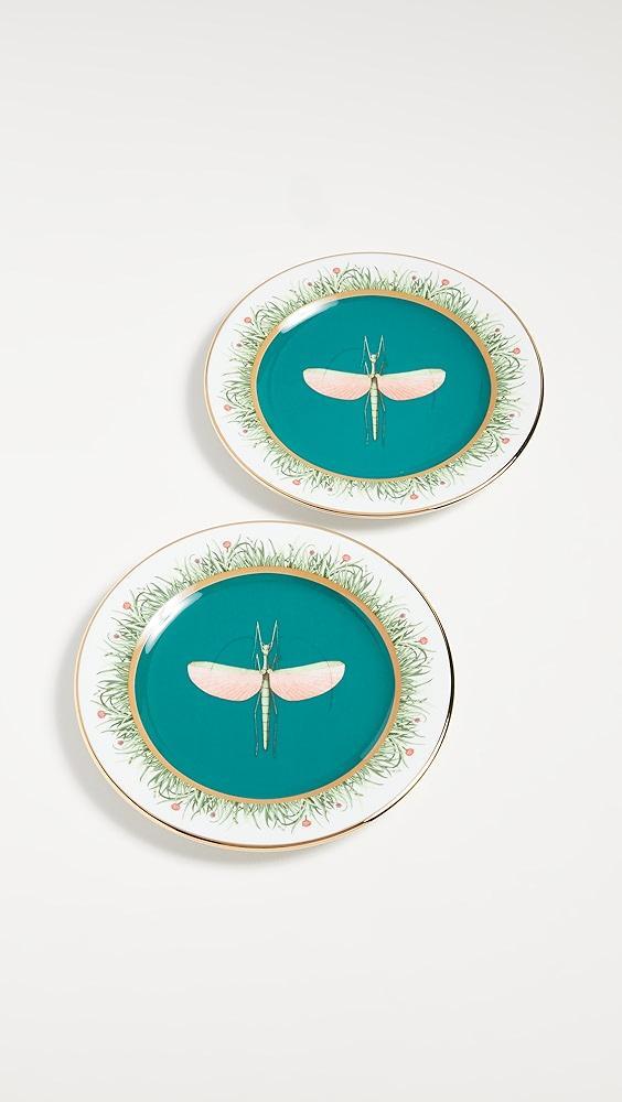La DoubleJ Dessert Plates Set of 2 | Shopbop Product Image