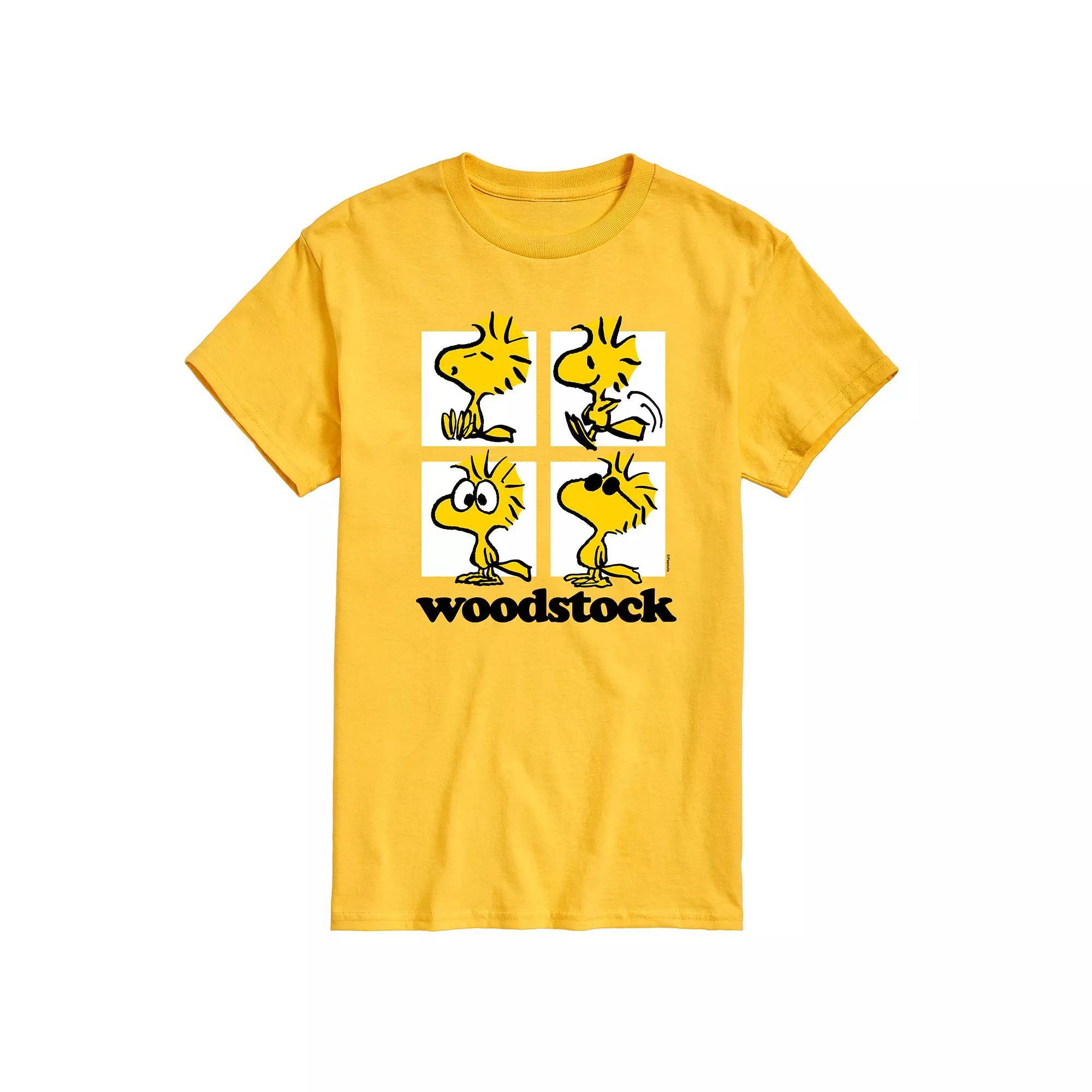 Mens Peanuts Woodstock Grid Graphic Tee Product Image
