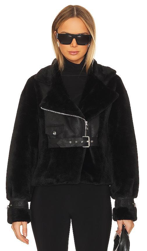 Elody Jacket LAMARQUE Product Image