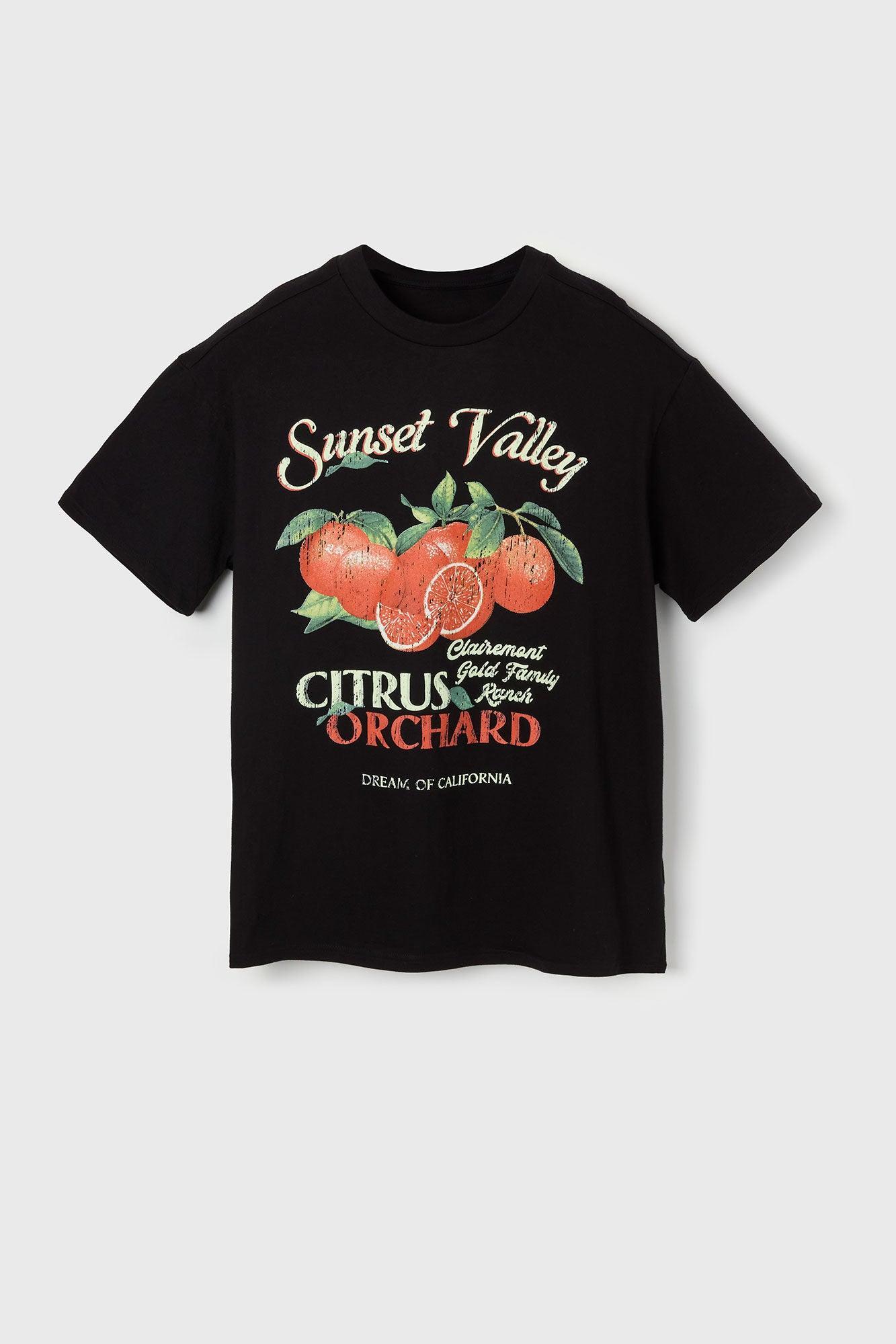 Sunset Valley Graphic T-Shirt Male Product Image