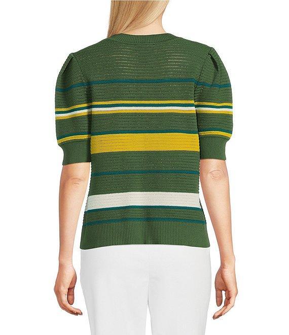 Investments Petite Size Bellwether Stripe Novelty Short Sleeve Crew Neck Sweater Top Product Image
