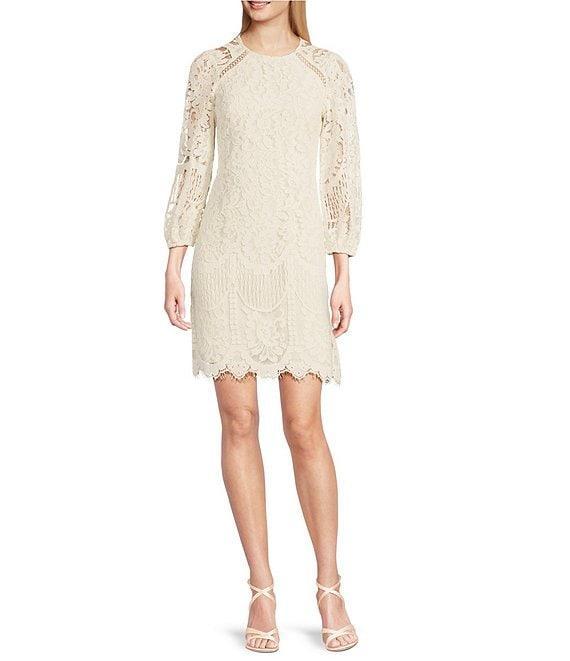 Vince Camuto Crew Neck 3/4 Sleeve Lace Illusion Shift Dress Product Image