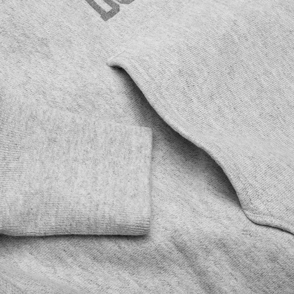 Possession Hoodie - Grey Male Product Image