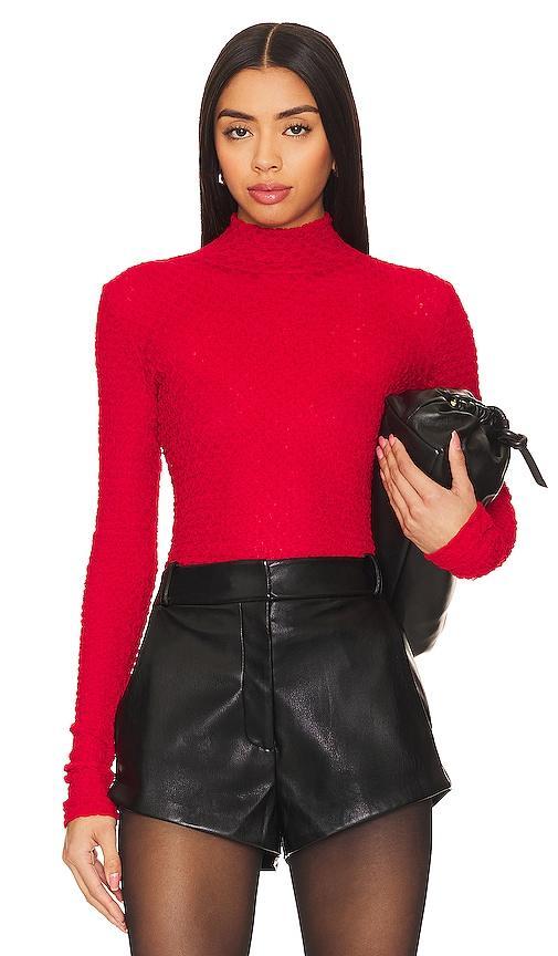 Frame Mesh Lace Turtleneck Top Product Image