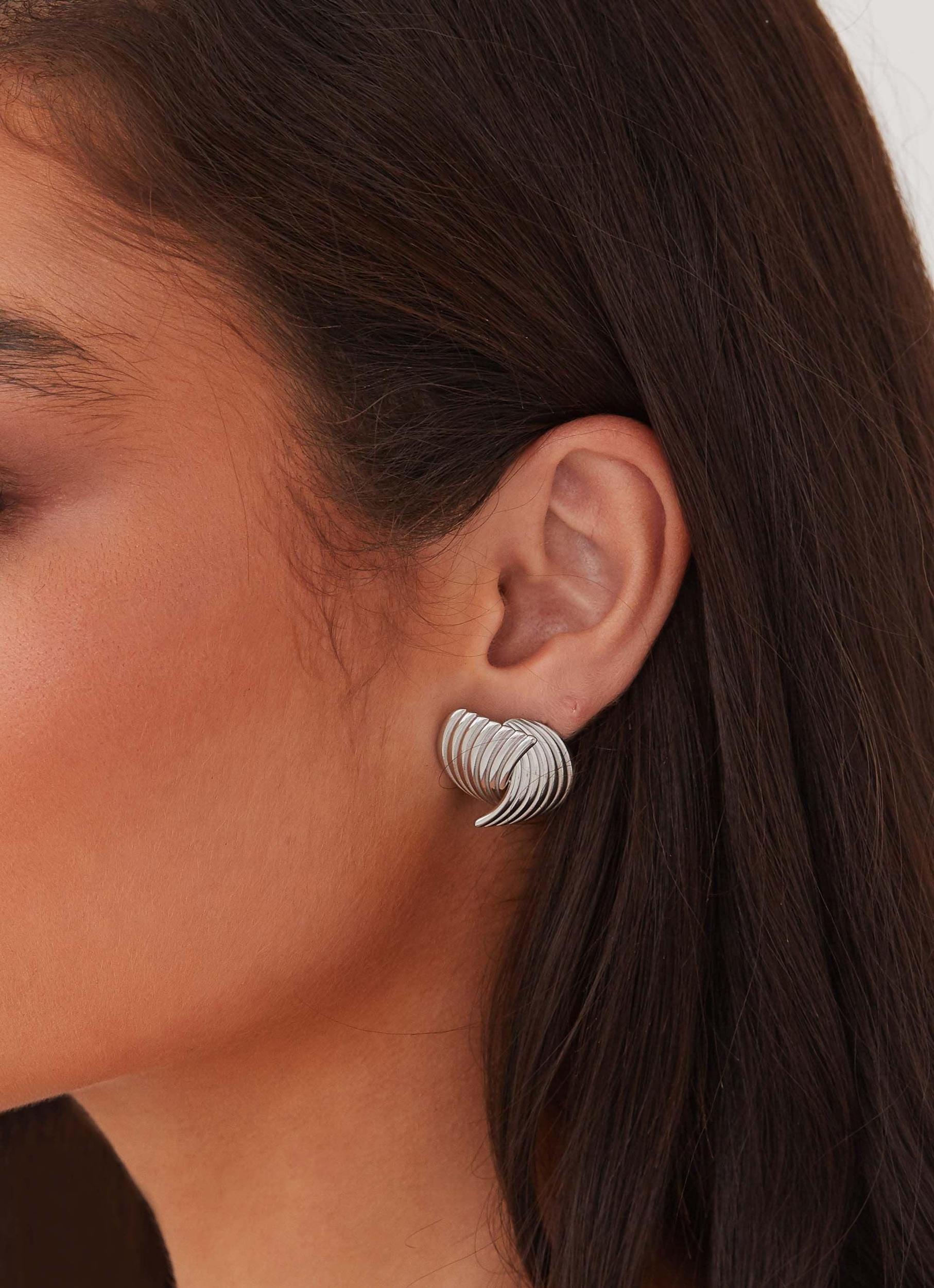 Me And You Earrings - Silver Product Image