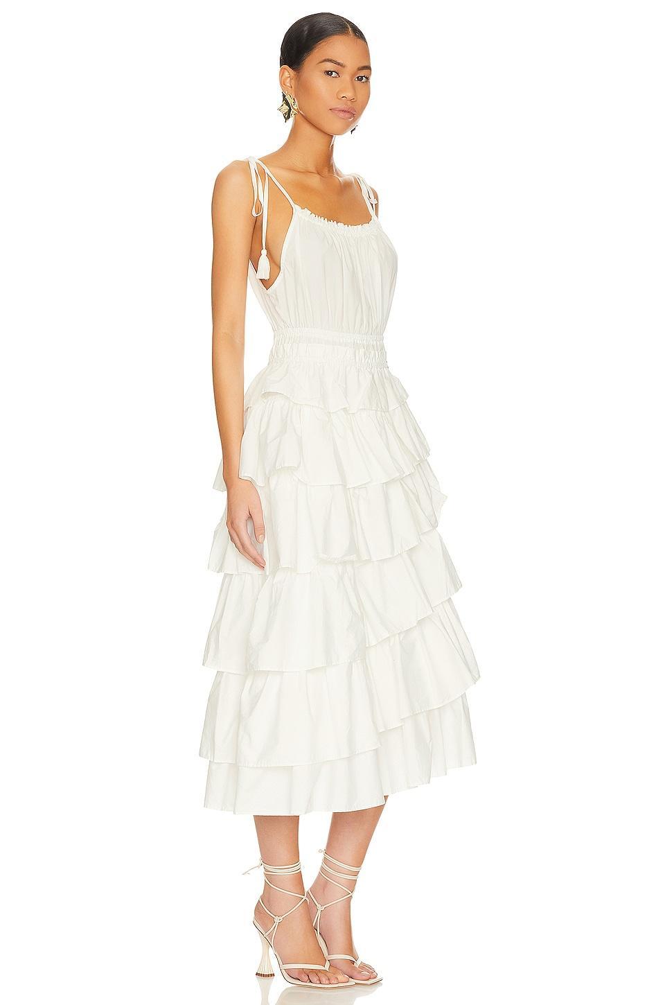Mireya Midi Dress Steve Madden Product Image