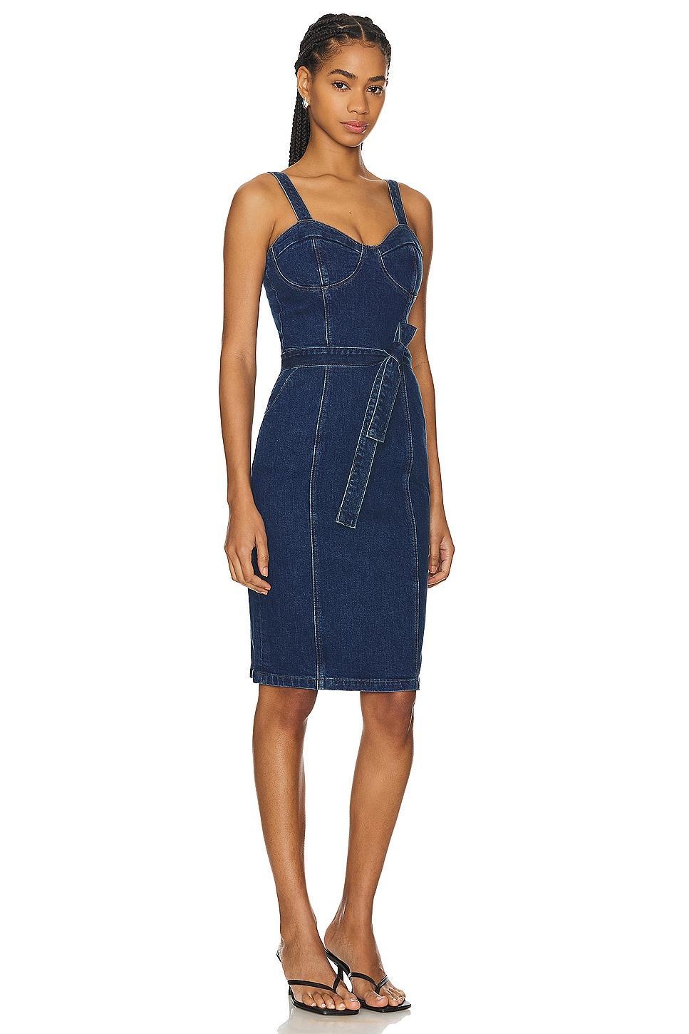 Giulia Dress PAIGE Product Image
