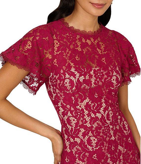 Adrianna Papell Illusion Crew Neck Flutter Sleeve Lace Shift Dress Product Image