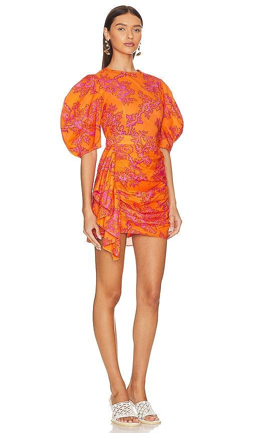 Pia Floral Print Cotton Mini Dress Product Image
