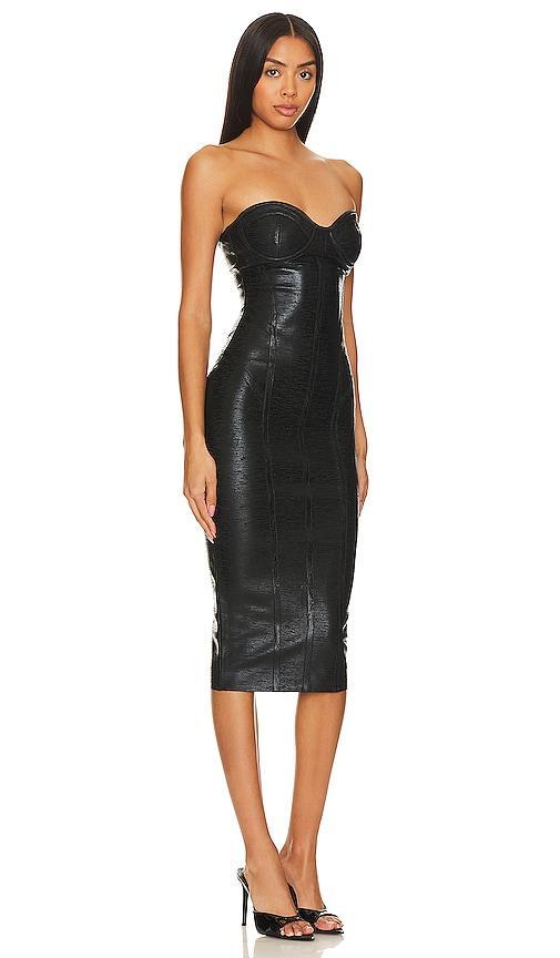 Womens Charlize Dress Product Image