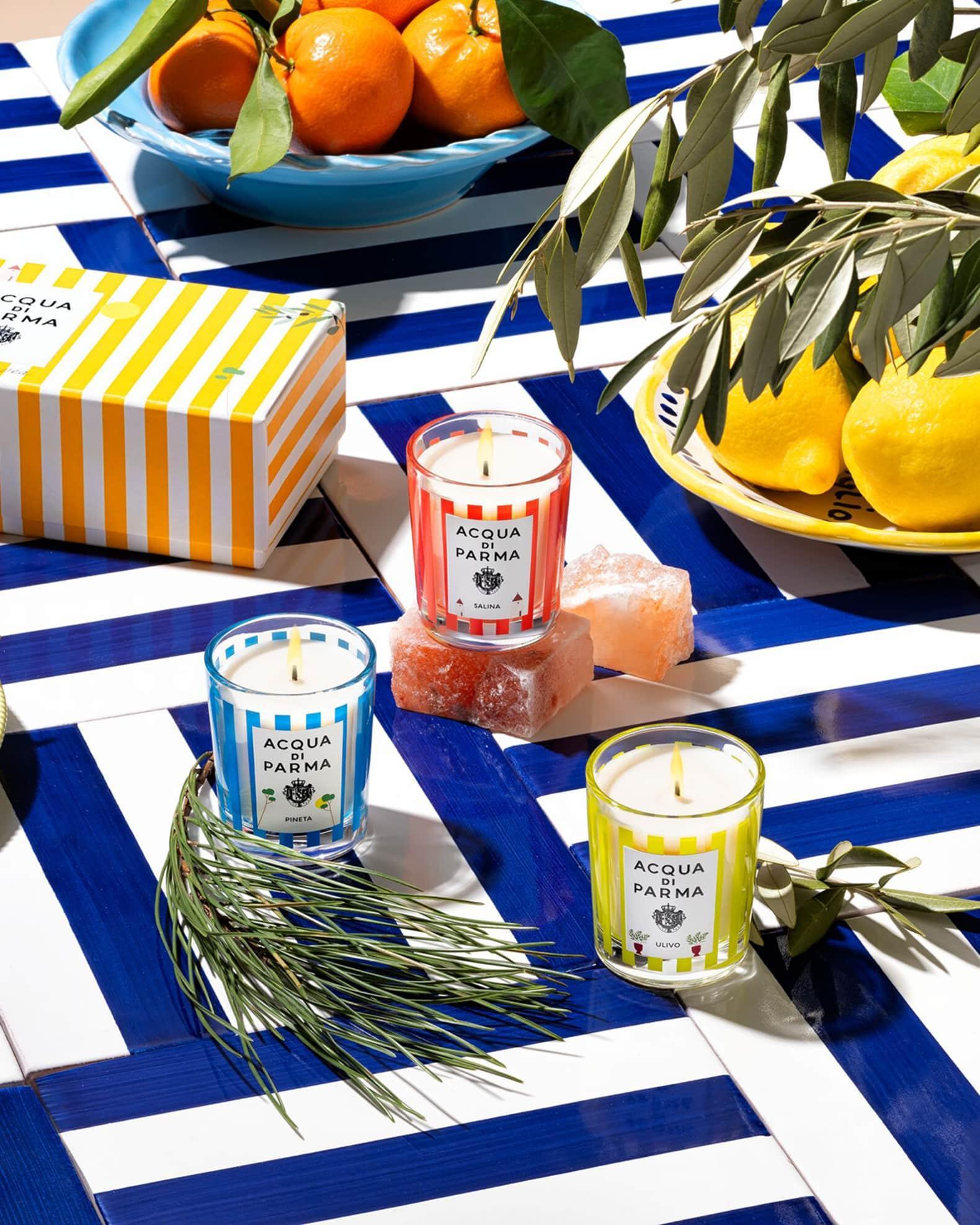 Summer Candle Trio Set, 3 x 2.47 oz.  Product Image