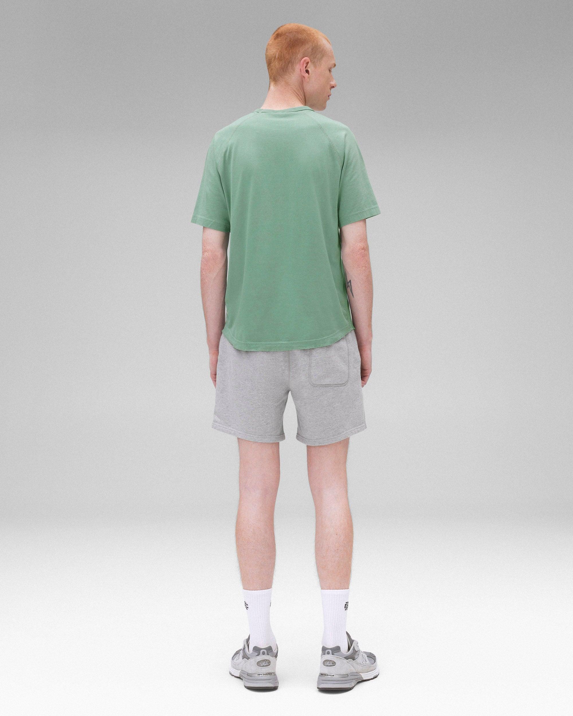 Lightweight Jersey Standard Raglan T-Shirt Male Product Image