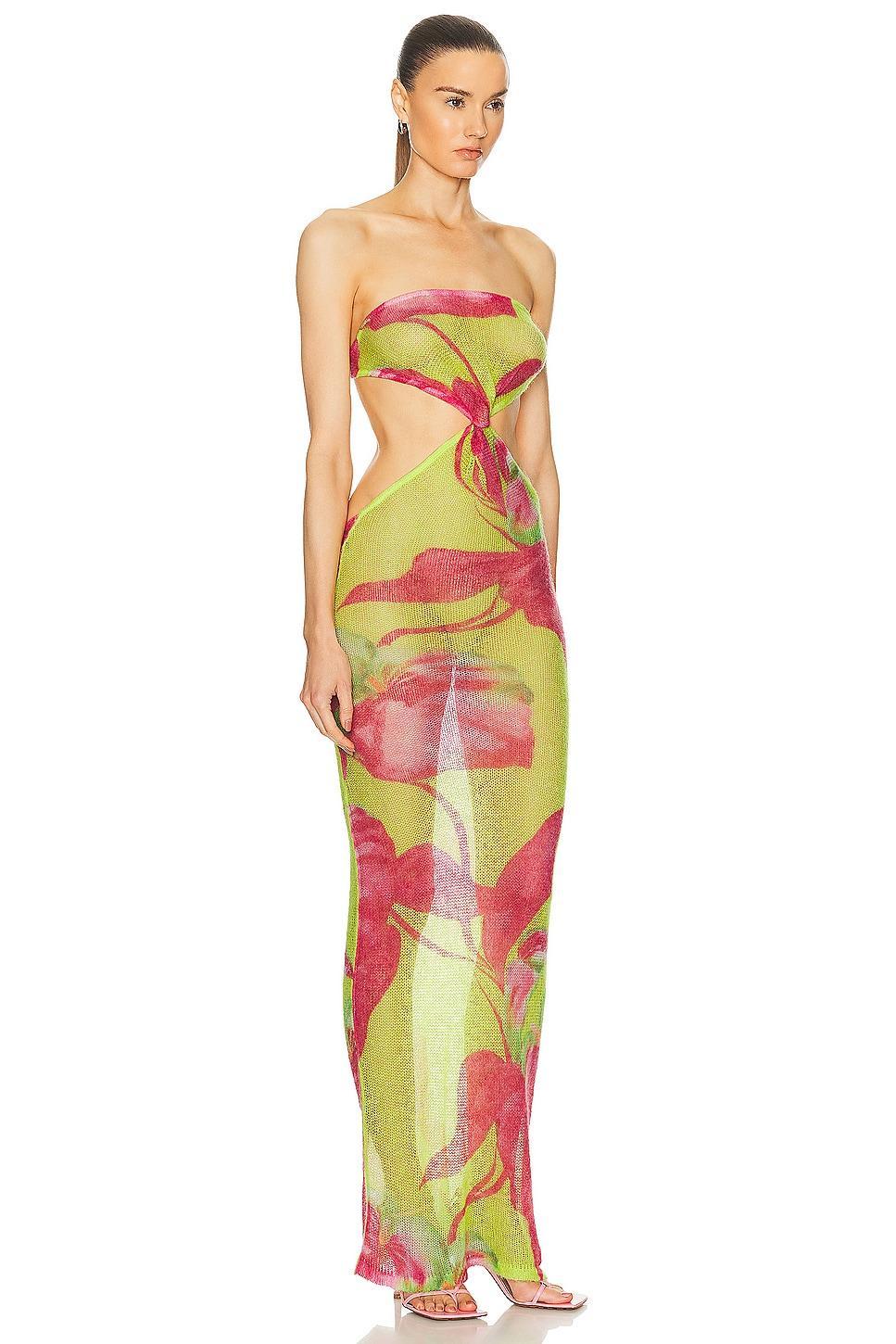Fontelina Dress Product Image