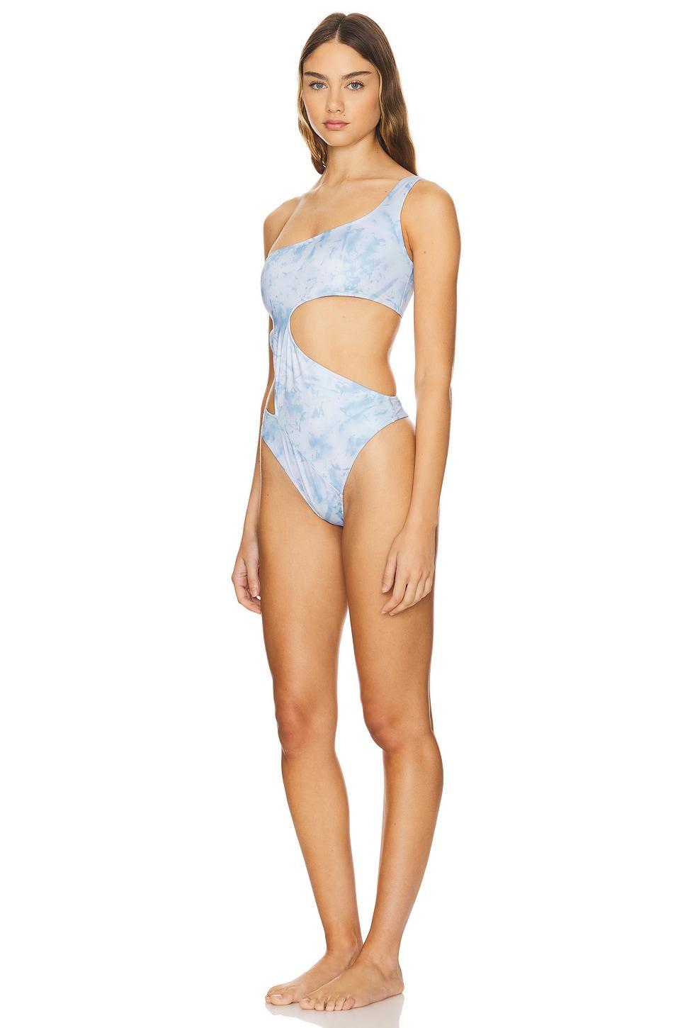 One Piece Swimsuit Roberta Einer Product Image