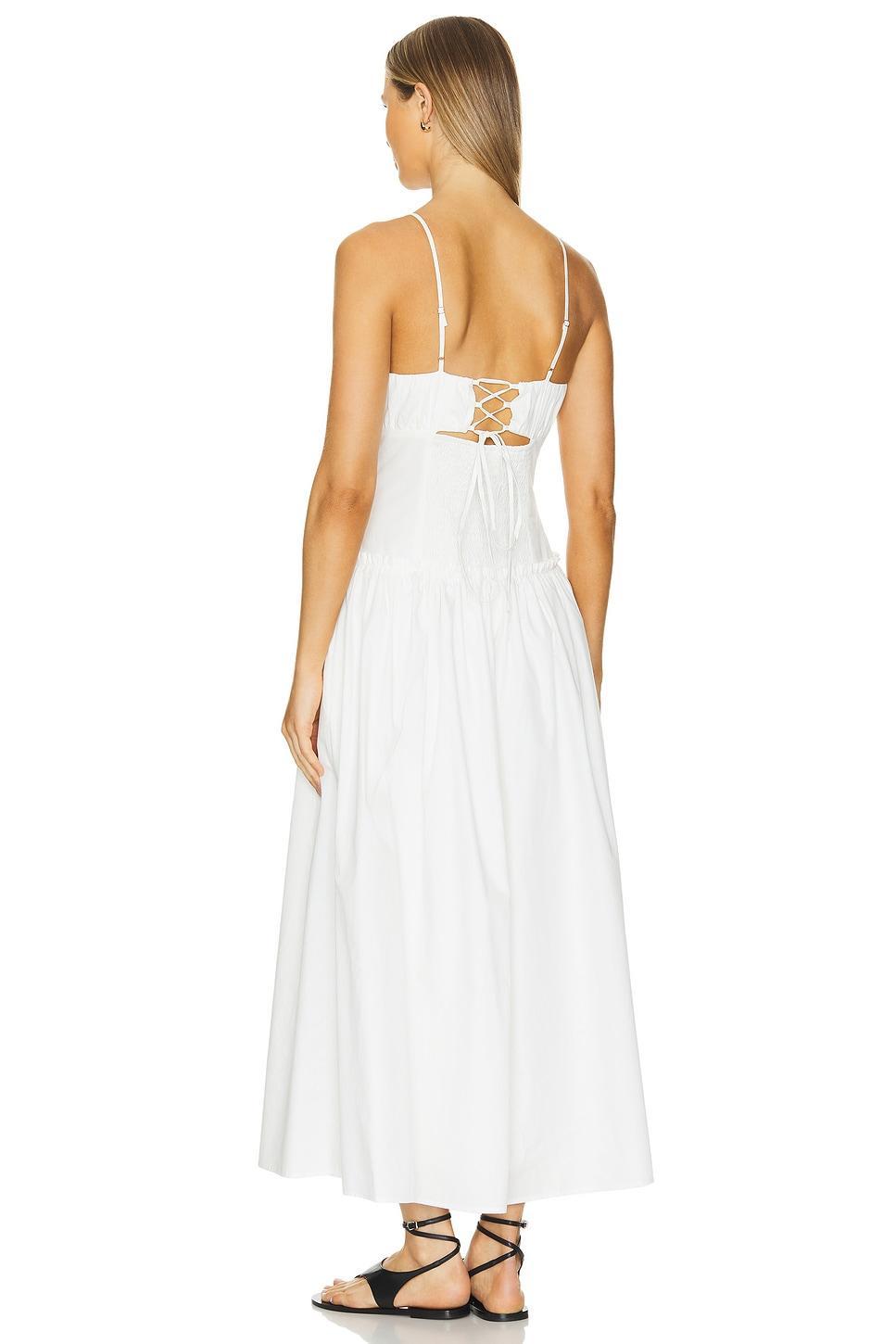 Maison Corset Dress Line & Dot Product Image