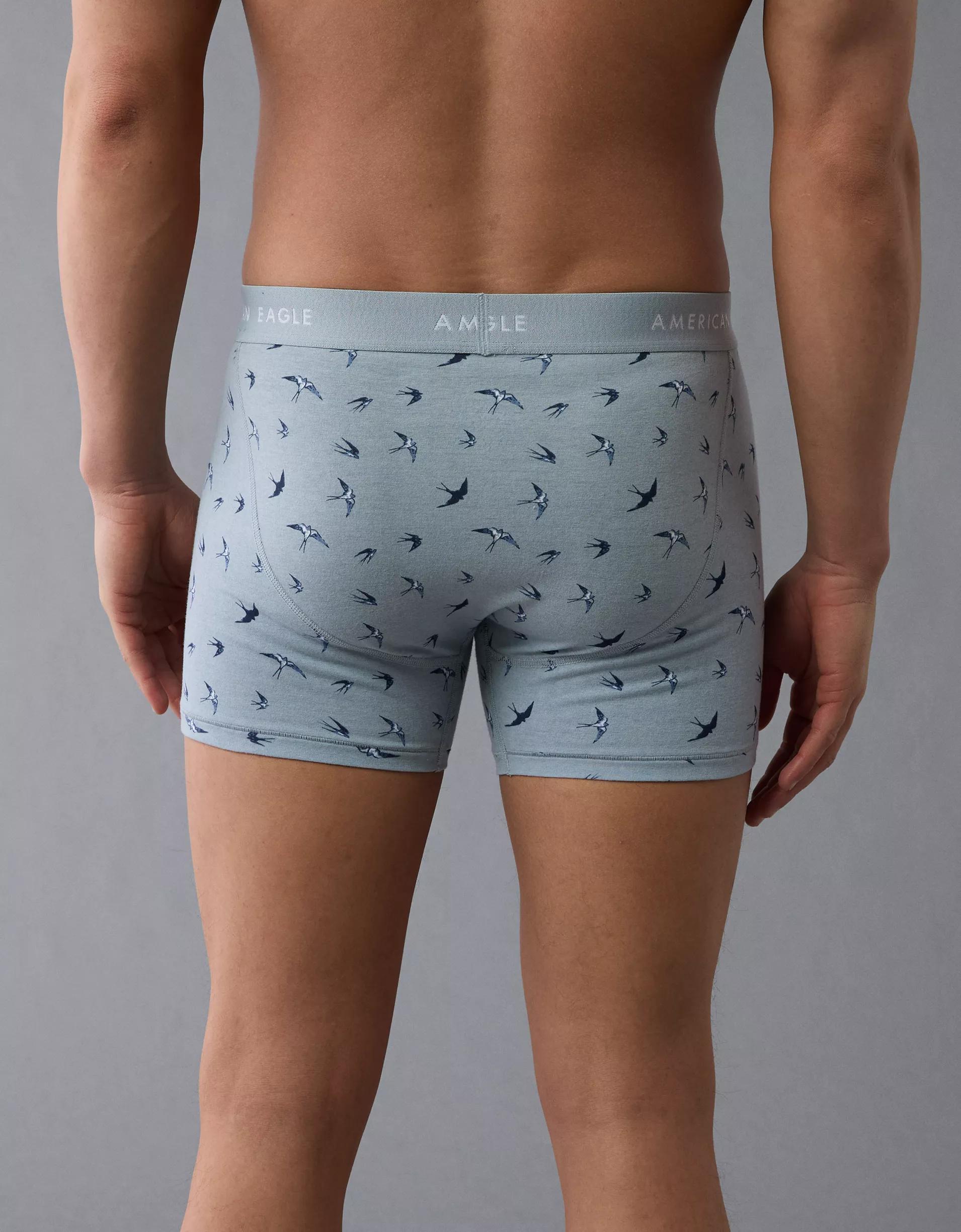 AEO Men's Sparrows 4.5" Classic Boxer Brief Product Image