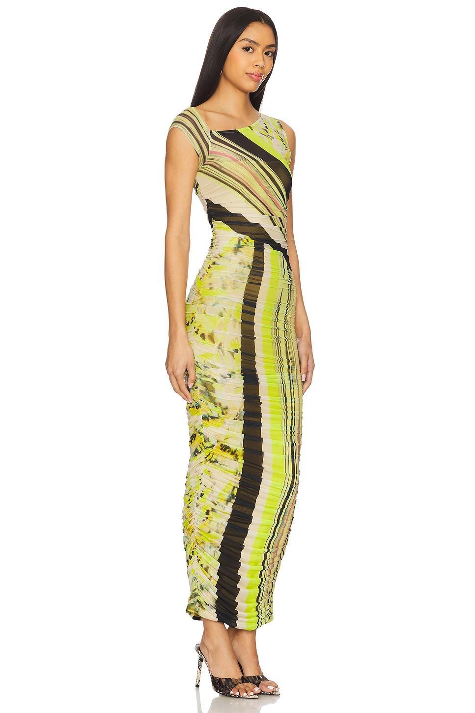 Biona Dress AFRM Product Image
