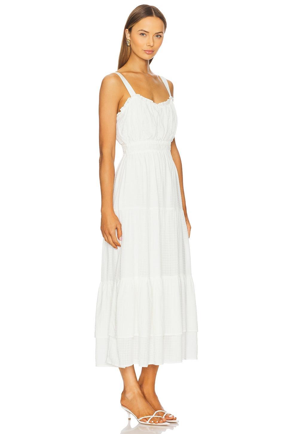 Persimmon Dress PAIGE Product Image
